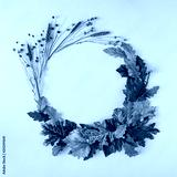 preview cold