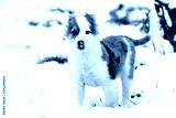 preview cold