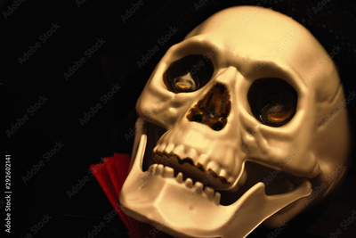 image to crop