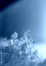 preview cold