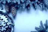 preview cold