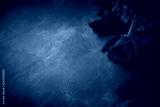 preview cold