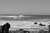preview bw