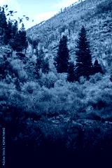 preview cold