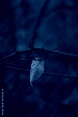 preview cold