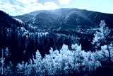 preview cold