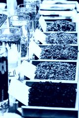 preview cold