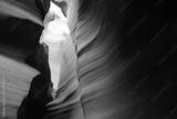 preview bw