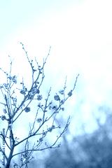 preview cold