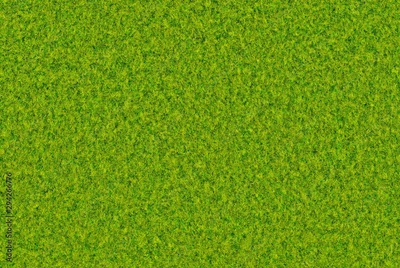 image to crop