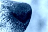 preview cold