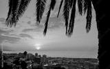 preview bw