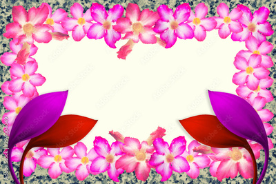 image to crop