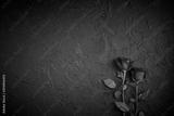 preview bw