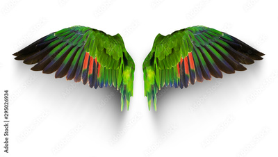 image to crop