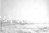 preview bw