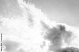 preview bw