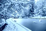 preview cold