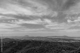 preview bw