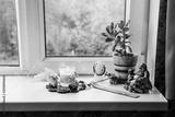 preview bw