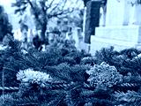 preview cold