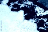 preview cold