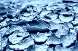 preview cold