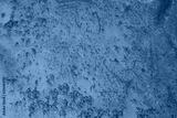 preview cold