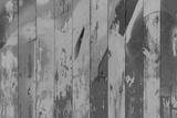 preview bw