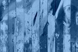 preview cold
