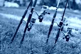 preview cold