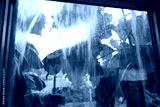 preview cold