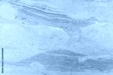preview cold