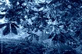 preview cold