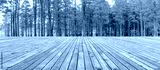 preview cold