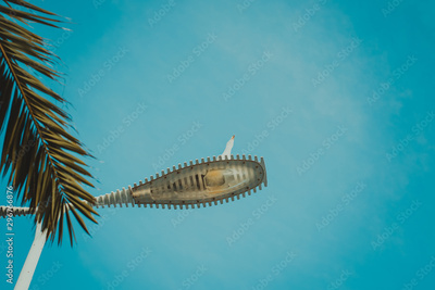 image to crop
