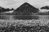 preview bw