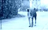 preview cold