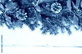 preview cold