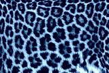 preview cold
