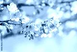 preview cold
