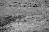 preview bw