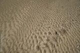 preview original