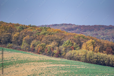 image to crop