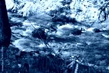 preview cold