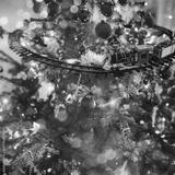 preview bw