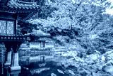 preview cold