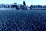preview cold