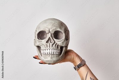 image to crop