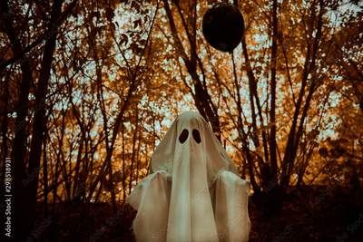 image to crop